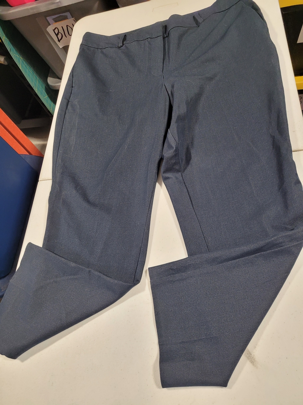 Ann Taylor Women's Dress Pants in Navy Blue